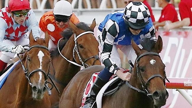 Protectionist won the 2014 Melbourne Cup.