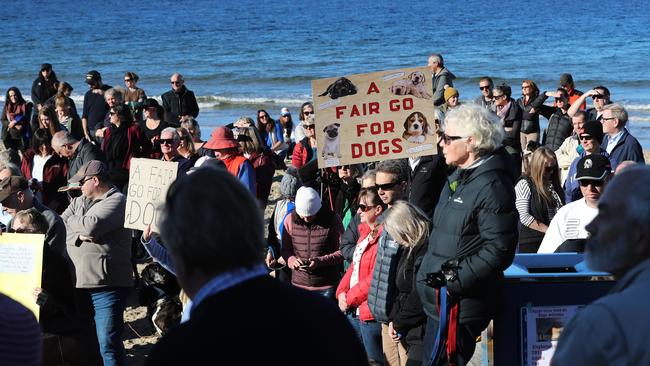 Dog owners and their four-legged friends at a recent Kingston Beach rally about Kingborough Council's dog management policy plans. Picture: LUKE BOWDEN