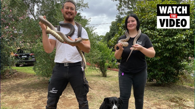 Melbourne's Snake Catcher family