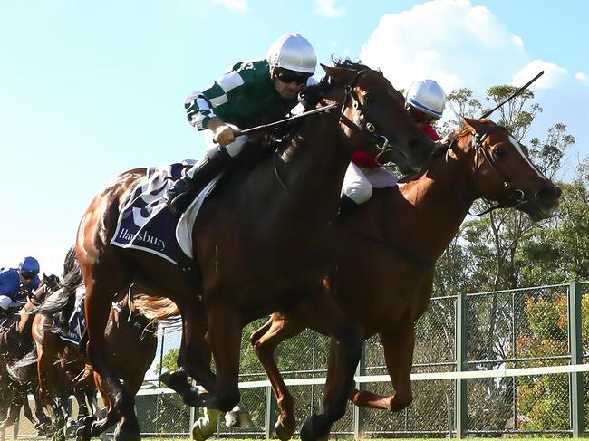 SYDNEY, AUSTRALIA - MAY 03: Tyler Schiller riding Media World win Race 6 Elite Sand & Soil Hawkesbury Guineas during Metro Racing at Hawkesbury Race Club on May 03, 2025 in Sydney, Australia. (Photo by Jeremy Ng/Getty Images)