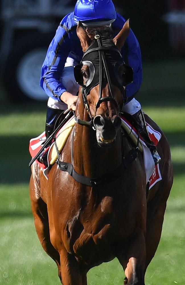 Damien Oliver on Happy Clapper during his controversial ride at Moonee Valley. Picture: AAP