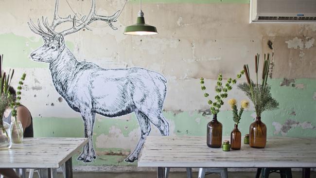 Elk Espresso’s fitout would have to be one of the most distinctive on the Gold Coast.