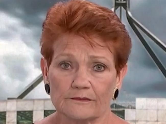 Pauline Hanson speaking to Sky News. Picture: Supplied