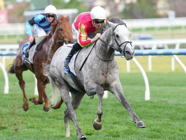 Kingswood (GB) ridden by John Allen wins the Sportsbet Coongy Cup at Caulfield Racecourse on October 16, 2024 in Caulfield, Australia. (Photo by Scott Barbour/Racing Photos via Getty Images)