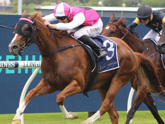 Joe Pride was happy with Expat at her first run for his stable and feels she will be competitive in the Hawkesbury Crown. Picture: Grant Guy