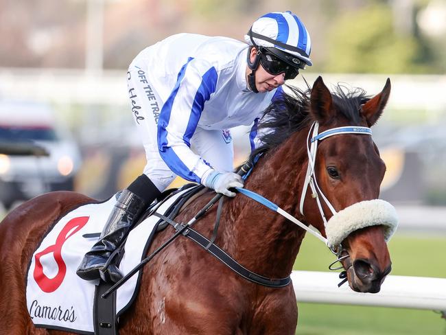 Mollynickers ridden by Carleen Hefel wins the Lamaro's Hotel VOBIS Gold Ingot  at Caulfield Racecourse on July 22, 2023 in Caulfield, Australia. (Photo by George Sal/Racing Photos via Getty Images)