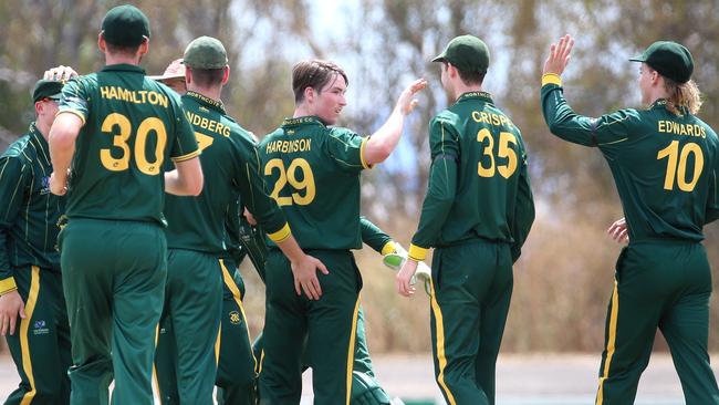 Sam Harbinson (centre) celebrates a wicket against Greenvale Kangaroos on Saturday. Picture: Hamish Blair