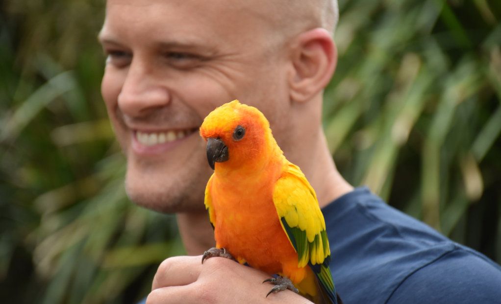 Getting up close with the birds at Maleny Botanic Gardens and Bird World. Picture: Mark Furler