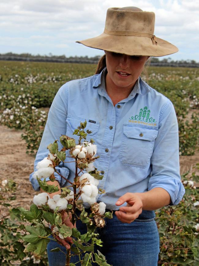 Berwyndale manager Tamara Uebergang explains the ins and out of growing cotton. Picture: Shannon Hardy