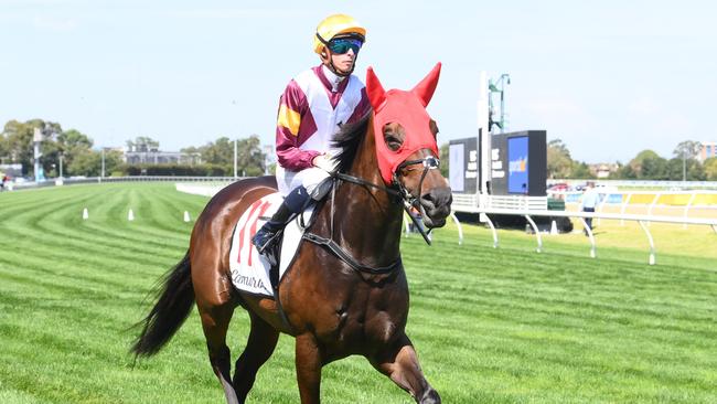 Evaporate is the favourite for the $3.5m The Kiwi slot race on Saturday. Picture: Racing Photos via Getty Images