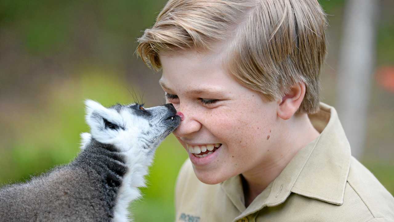 Robert Irwin to get conservation hero award | The Courier Mail