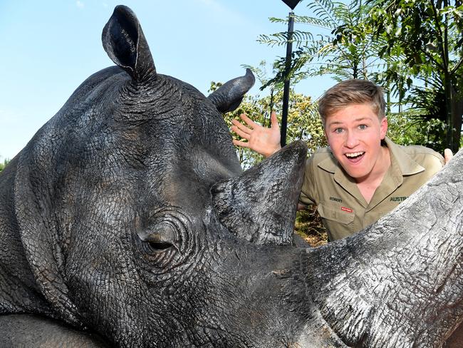 Celebrations at Australia Zoo, Beerwah, for Robert Irwin's 16th birthday.Robert Irwin checks out the new Rhino sculpture at the Zoo.