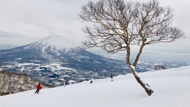 The slopes of Niseko on Hokkaido, with Mount Yotei in the background. Picture: Getty Images