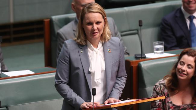 Peta Murphy delivering her maiden speech in the House of Representatives. Picture: Kym Smith