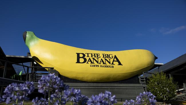 The Big Banana in Coffs Harbour, Australia. Picture: Matt Jelonek/Getty Images