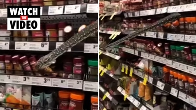 Snake filmed emerging from shelf in a NSW Woolworths