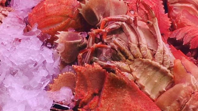 The seafood at Scales Seafoods, Tweed Heads. Photo: Supplied