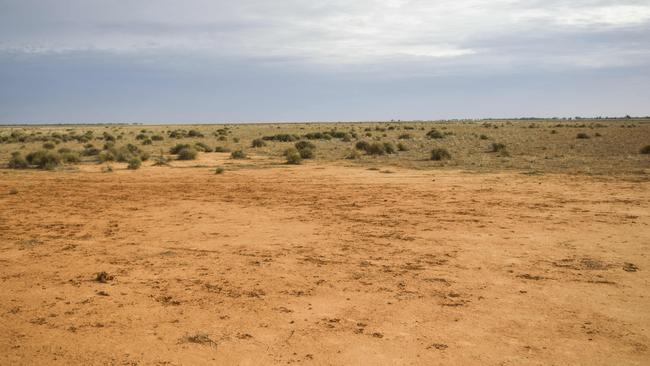 Facing one of the driest winters on record with approximately 99 per cent of the state covered by one of the three drought categories. Picture: Dannika Bonser