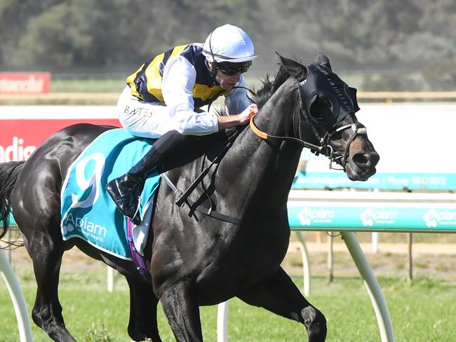 Sea King (GB) ridden by Declan Bates wins the Apiam Bendigo Cup at Bendigo Racecourse on October 30, 2024 in Bendigo, Australia. (Photo by Brett Holburt/Racing Photos via Getty Images)