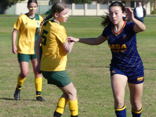 Action from the Maribyrnong College match at the Albury Football Festival. Picture: David Dunn