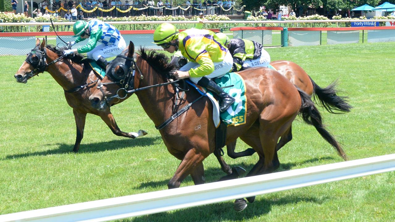 Gunboat ridden by Joe Bowditch wins for trainer Mathew Ellerton at Bendigo. Picture: Brett Holburt/Racing Photos via Getty Images