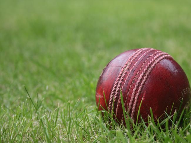 Officials from the cricket club will face the royal commission on Wednesday.