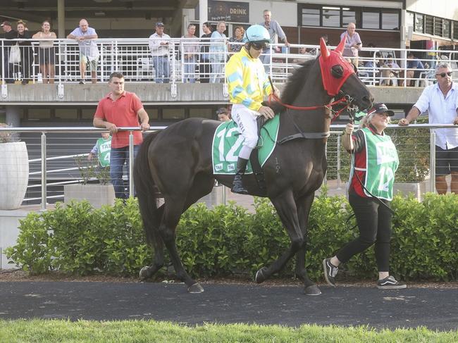 Scone, 20/03/2023, Winner - Melody Again, Jockey - Mitchell Bell, Trainer (red shirt) - Scott Singleton. Picture: Bradley Photos