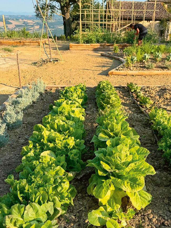 Their biodynamic farming has been an “emotional and rewarding” experience.