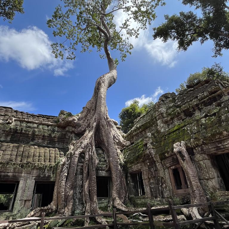 Cambodia’s Ta Prohm Temple, as seen in <i>Tomb Raider.</i> 