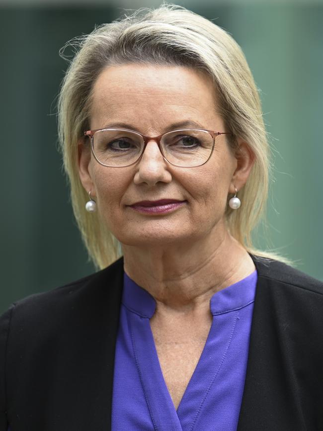 Deputy Liberal Leader Sussan Ley said Mr Marles should resign if he is found to have breached the ministerial code of conduct. Picture: NewsWire/ Martin Ollman