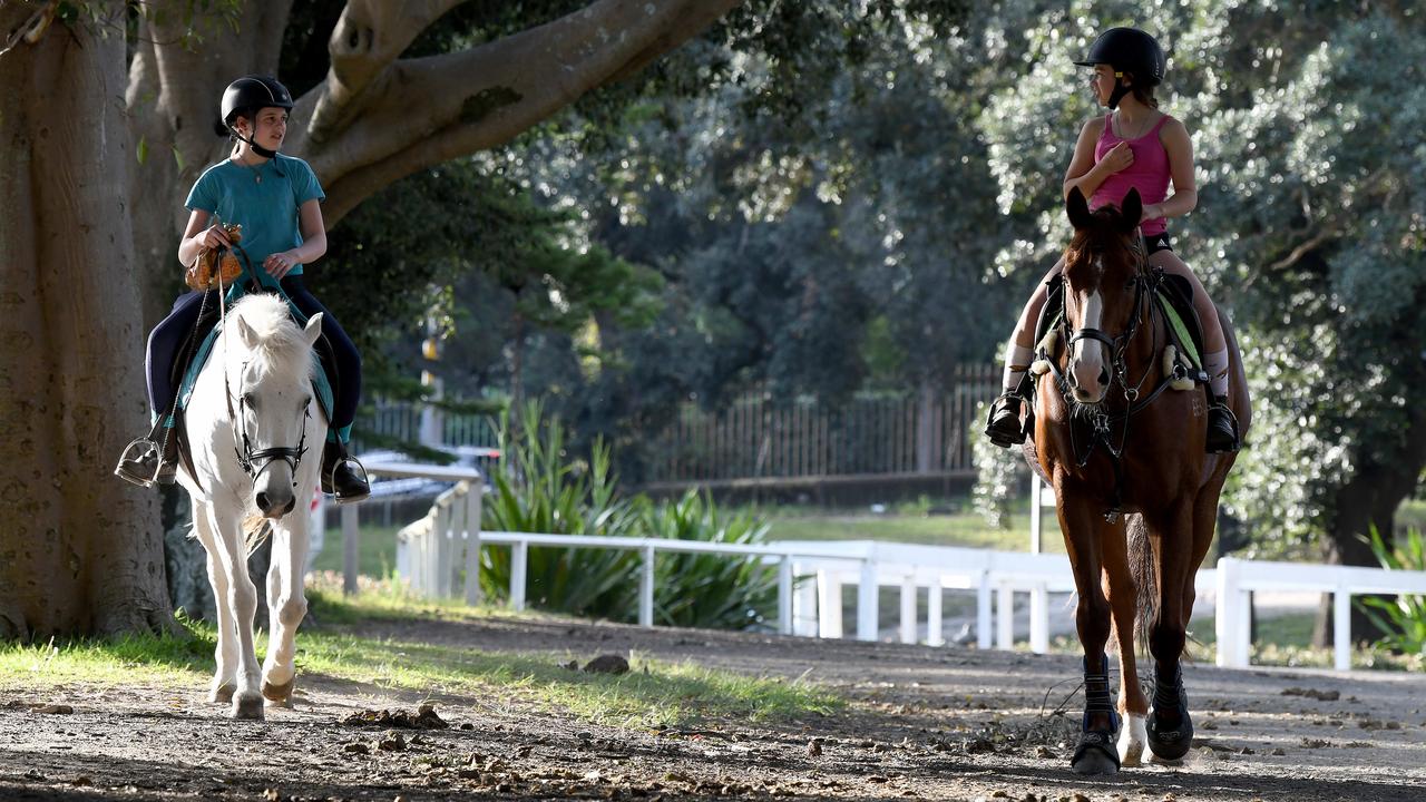 A woman has been fined after allegedly not riding her horse in the designated area, something she says is because of a “petty and silly” fight between park rangers and equestrians. Picture: NCA NewsWire/Bianca De Marchi