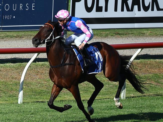 NEWCASTLE, AUSTRALIA - NOVEMBER 18: Dylan Gibbons riding Tavi Time wins Race 9 NZB Kurt Fearnley Legend Mile during Sydney Racing ( The Hunter ) at Newcastle Racecourse on November 18, 2023 in Newcastle, Australia. (Photo by Jeremy Ng/Getty Images)