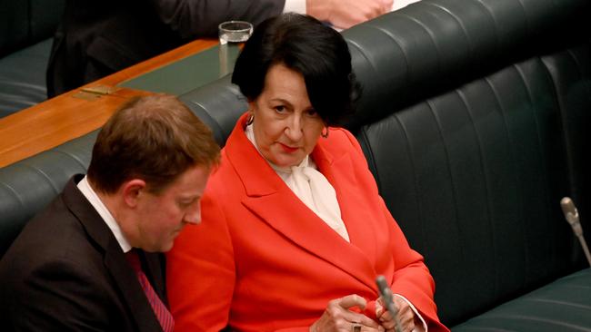 Former deputy premier Vickie Chapman in parliament. Picture: Naomi Jellicoe