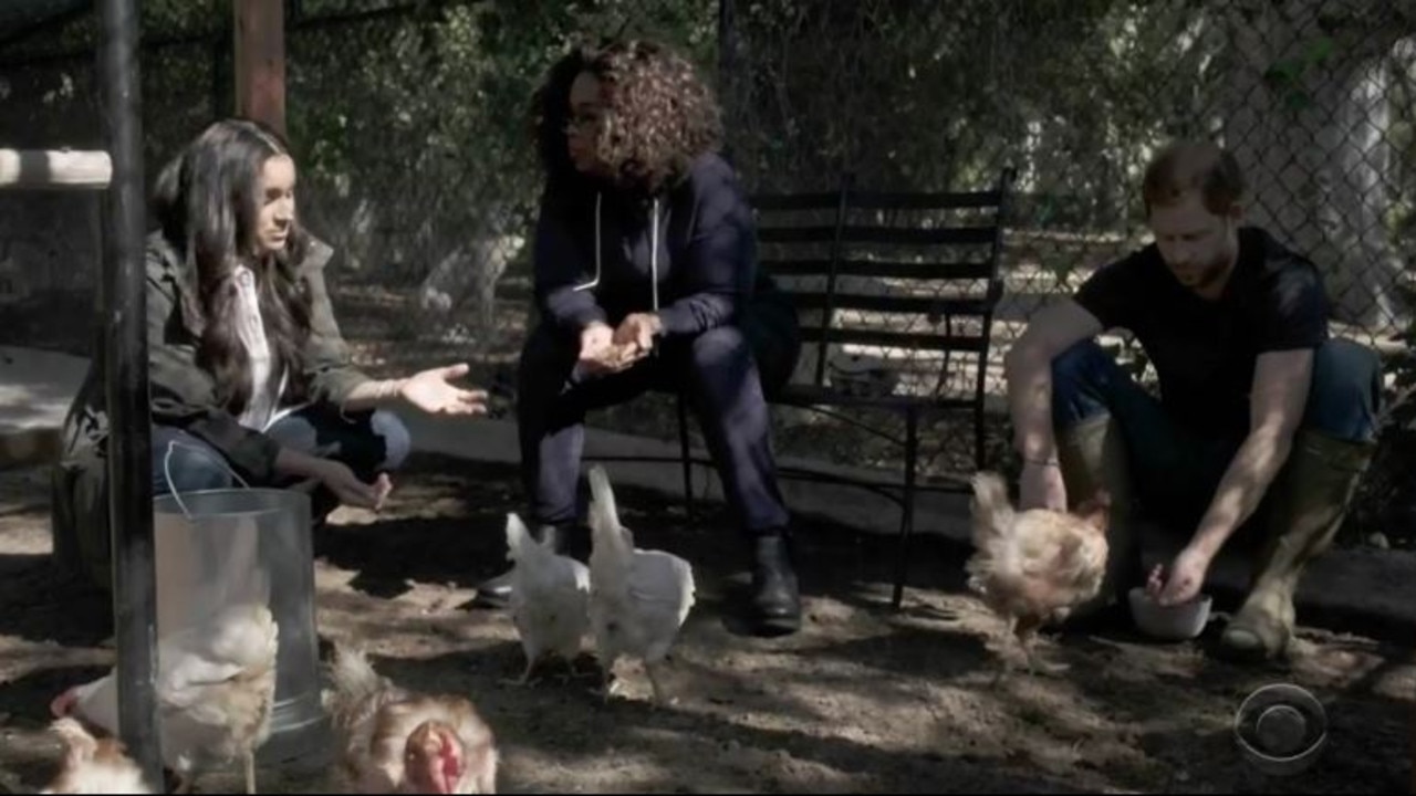 Meghan and Harry showed Oprah Winfrey around their chicken coop.