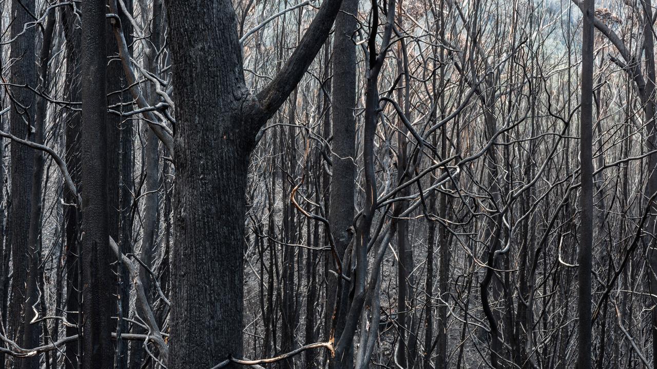 Gordon River Road. Images taken after the recent bushfires in southern Tasmania. Picture: GEOFF MURRAY ***SUPPLIED WITH PERMISSION FROM PHOTOGRAPHER FOR ONE TIME USE PRINT AND ONLINE***