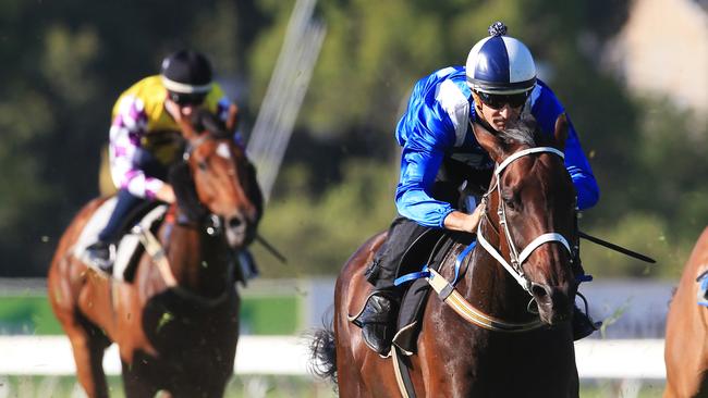 Winx, ridden by Hugh Bowman, in a barrier trial at Rosehill racecourse. Picture: Mark Evans