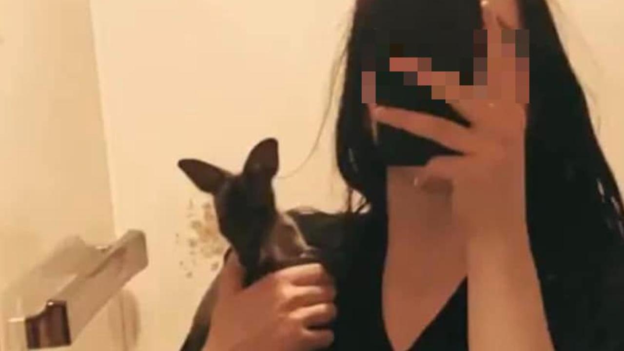 A young Launceston woman is understood to have care of an orphaned joey for up to one month. Social media video captured a friend of hers giving the animal a cigarette. Picture: Supplied