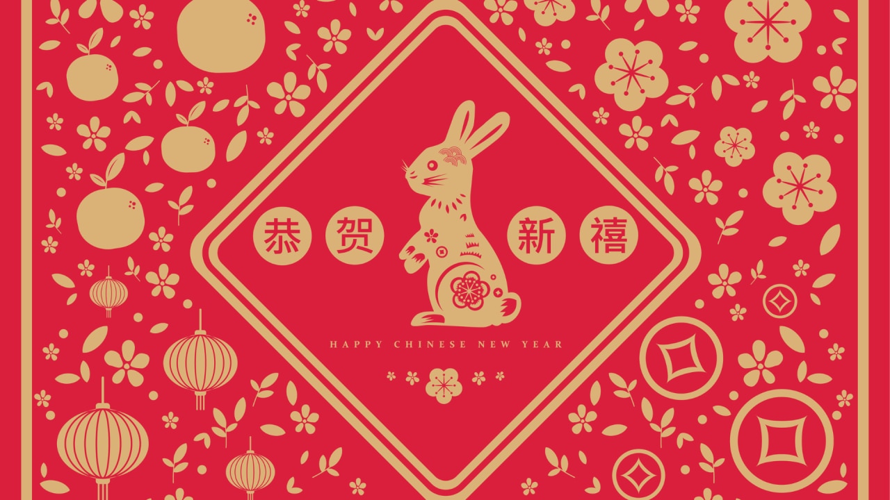 What is Year of the Rabbit? And why is 2023 called the 'Water Rabbit'? |  body+soul