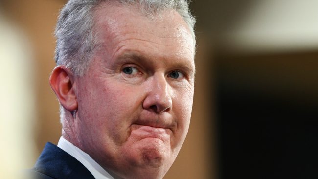 Footage reveals Labor’s Tony Burke making ‘deeply offensive’ comments ...