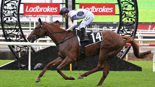 Campaldino relished the wet condition to stroll home in the Group 3 Queen Elizabeth II Cup at Eagle Farm. Picture: Trackside Photography