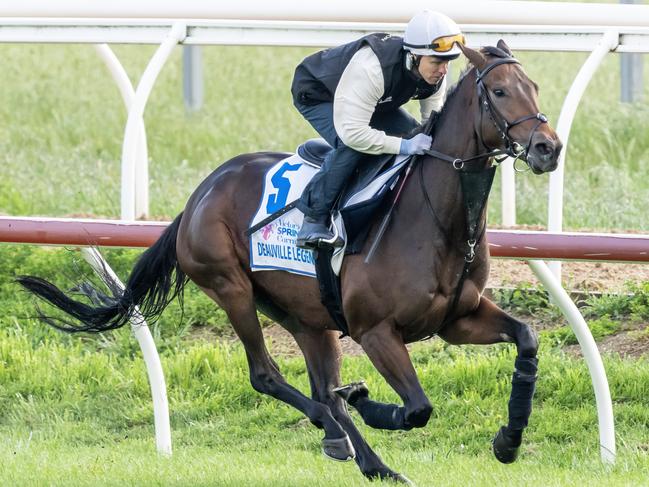 Kerrin McEvoy onboard Deauville Legend during trackwork at Werribee Racecourse on October 25, 2022 in Werribee, Australia. (Jay Town/Racing Photos via Getty Images)