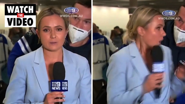 Watch channel 9 news hot sale