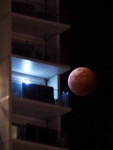 Total lunar eclipse seen through a Darwin apartment tower