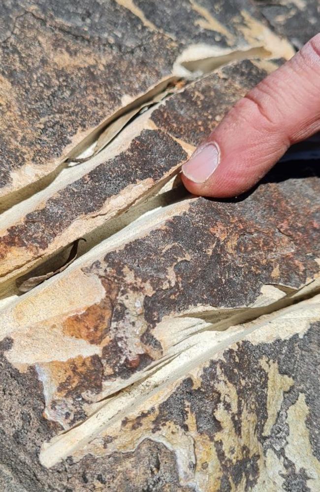 Deep gouges have been carved into rock at the base of Mt Beerwah. Photo: QPWS