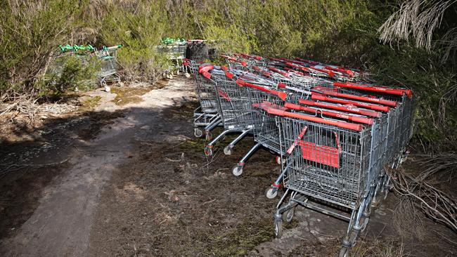 Dumped trolleys off Wakehurst Parkway. Picture: Adam Yip.