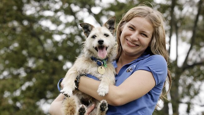 Pound puppies need homes | The Courier Mail