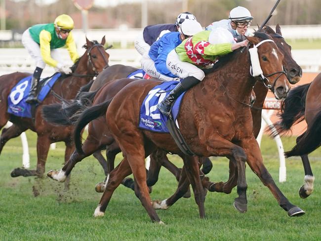 Sansom (NZ) ridden by Ben Allen wins the The Big Screen Company Bletchingly Stakes at Caulfield Racecourse on July 24, 2021 in Caulfield, Australia. (Scott Barbour/Racing Photos via Getty Images)