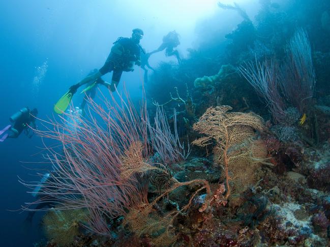 UNESCO has moved to list the Great Barrier Reef as ‘in danger’.