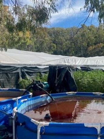 Murky water tanks nearby the plantation. Source: NSW Police