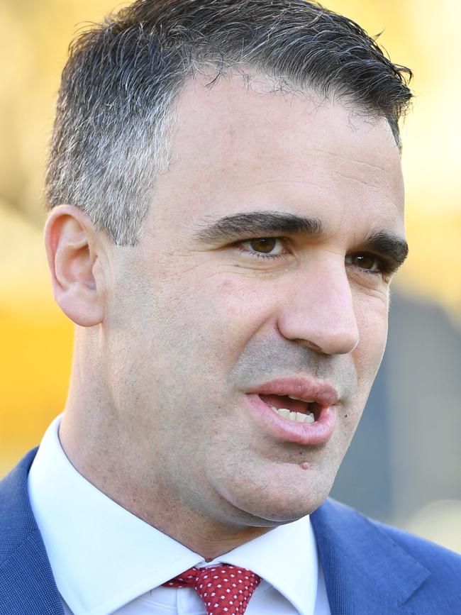 Labor Leader Peter Malinauskas. Picture: Keryn Stevens/AAP